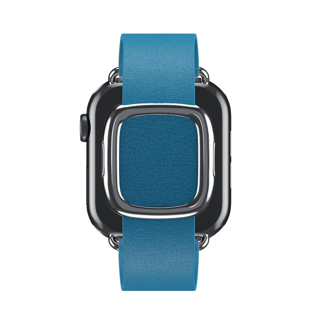Blue Jay Modern Buckle for Apple Watch