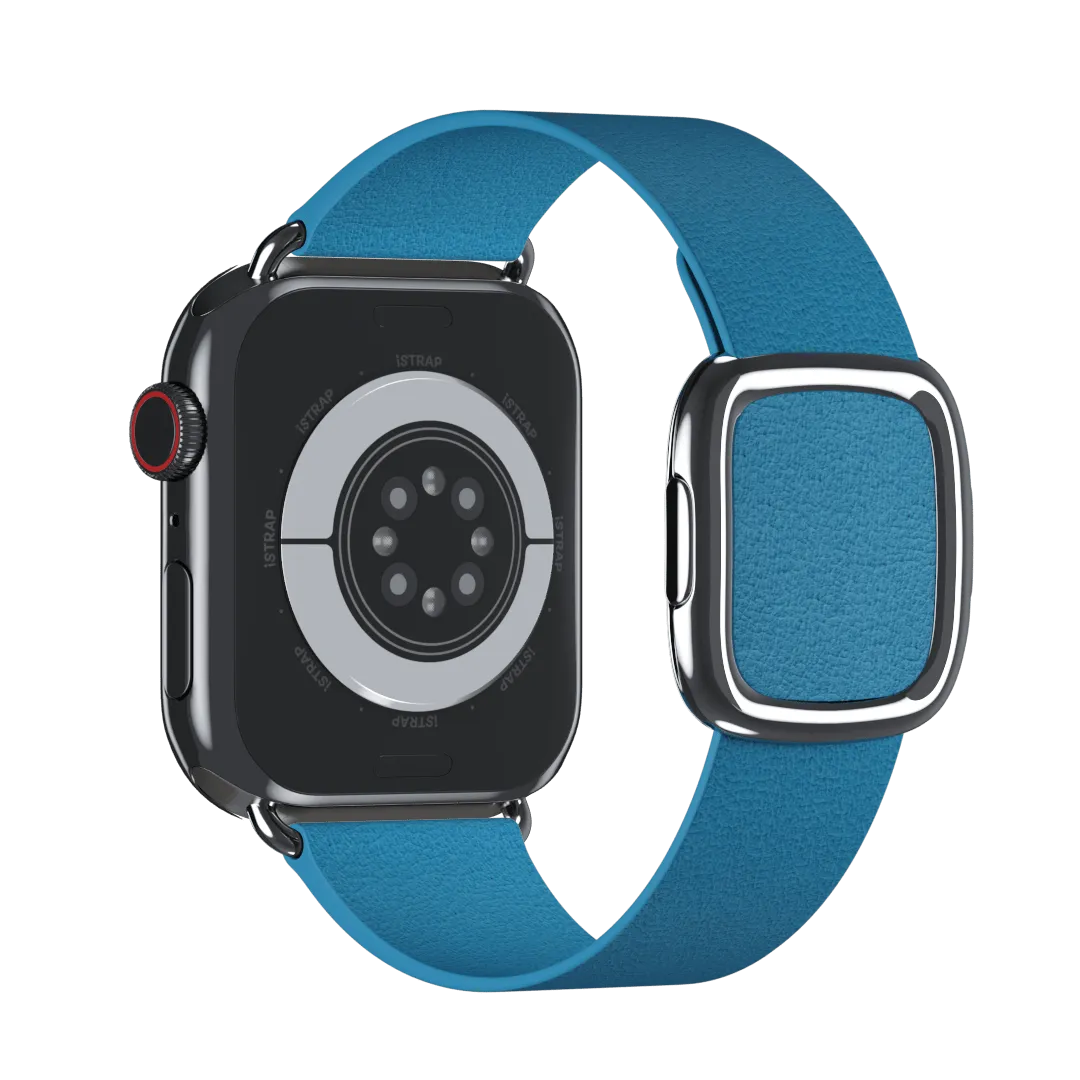 Blue Jay Modern Buckle for Apple Watch