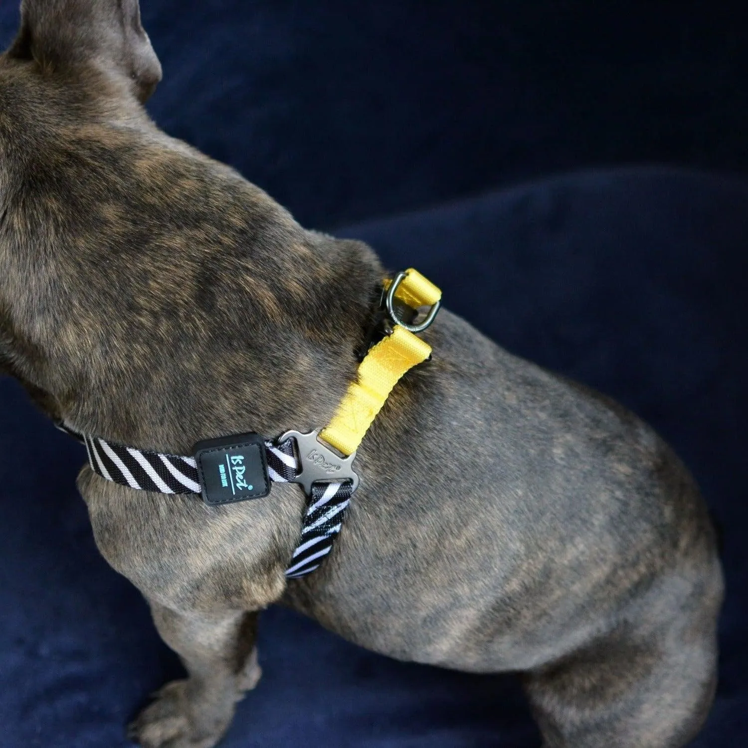 Bond For Love Dog Harness - Zebra