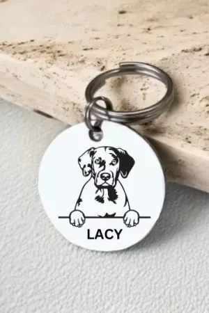 Catahoula Dog Tag Collar Personalized