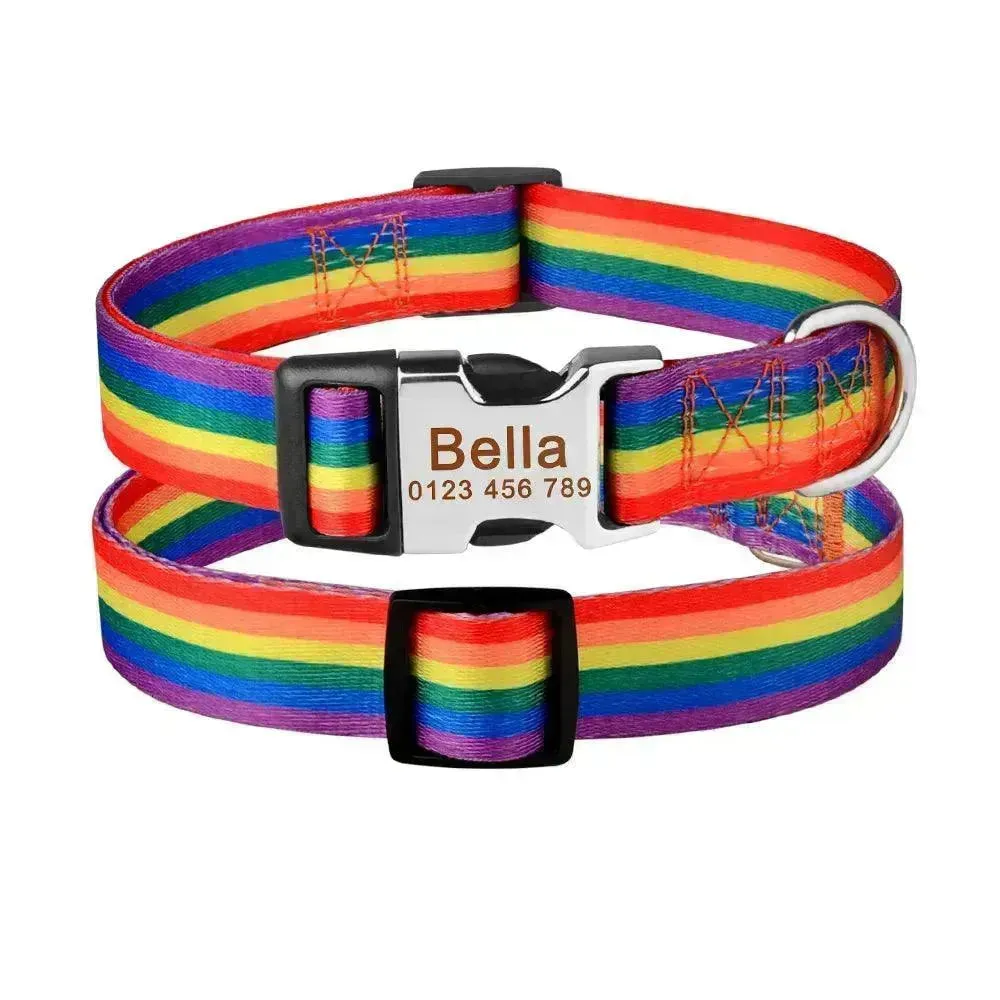 Custom Dog Collar with ID Tag