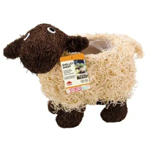 Flamboya 35cm Shelley Sheep Rattan Funimal Planter