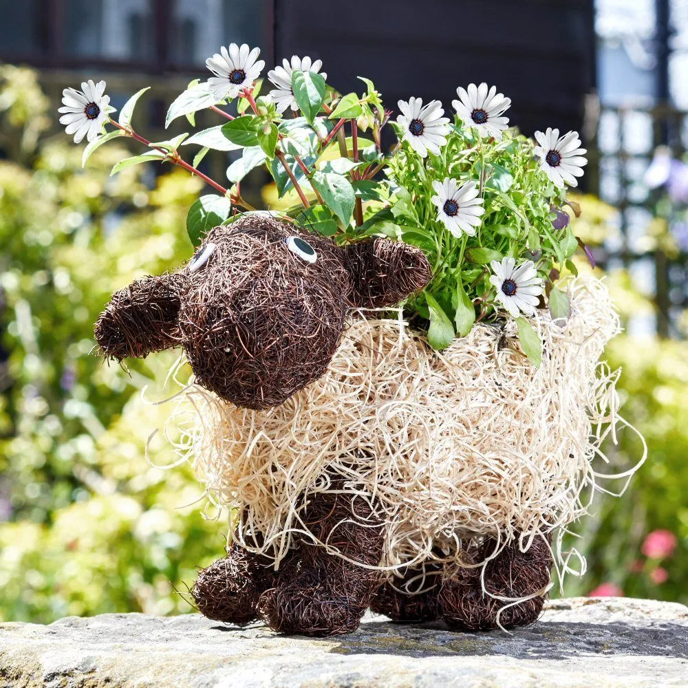 Flamboya 35cm Shelley Sheep Rattan Funimal Planter