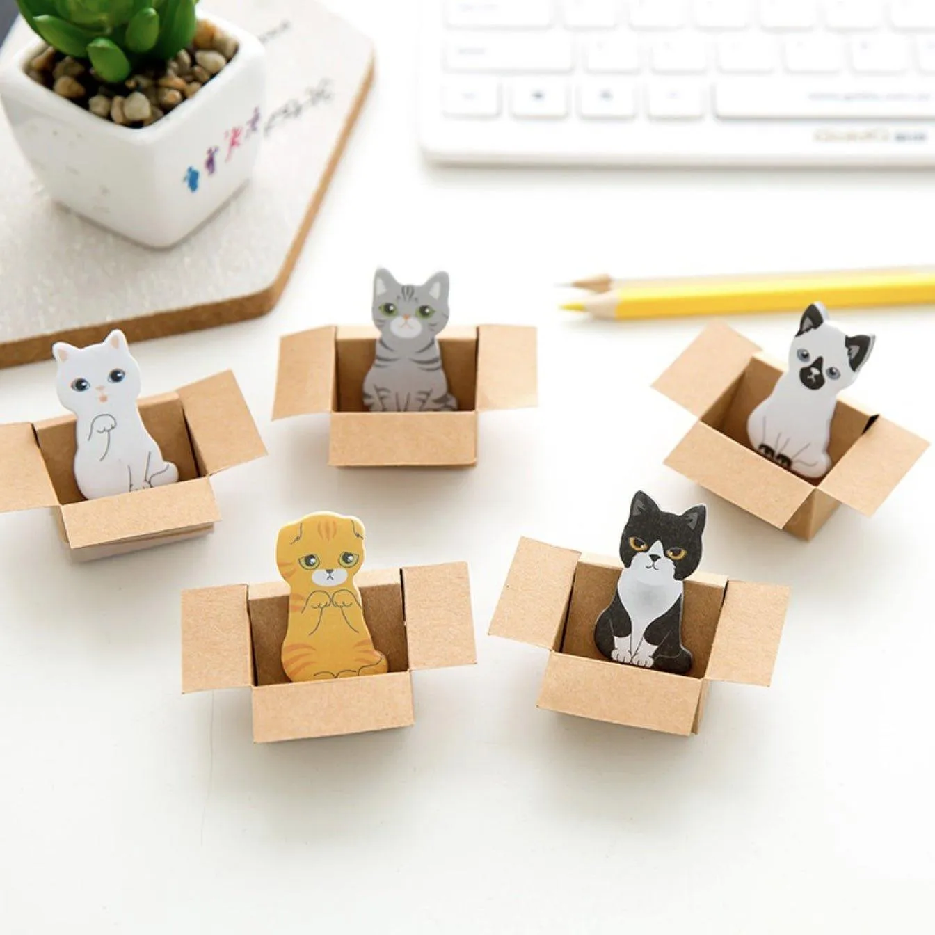 Korean version of cute carton cat  notes NP-000130