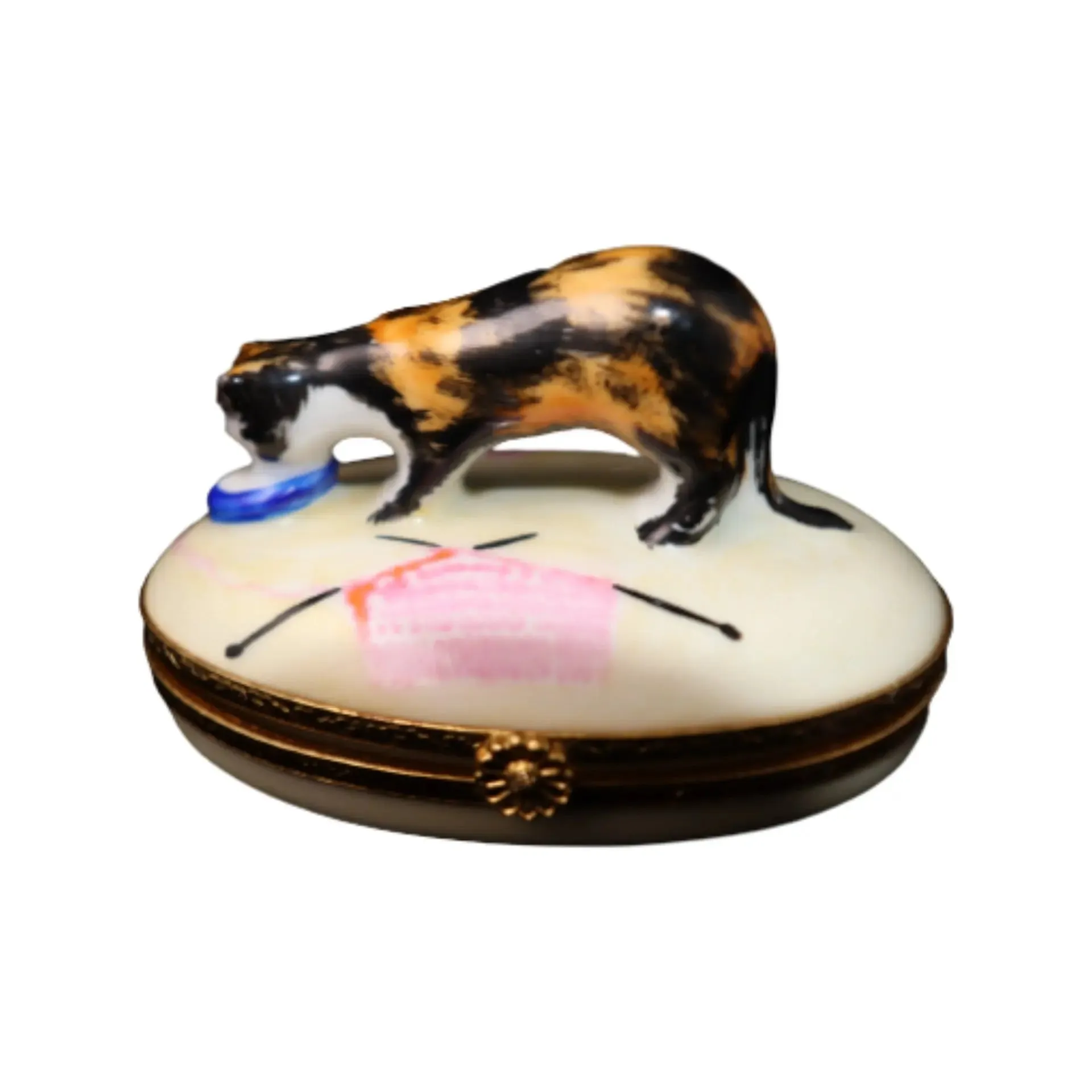 Tortoise Shell Cat
